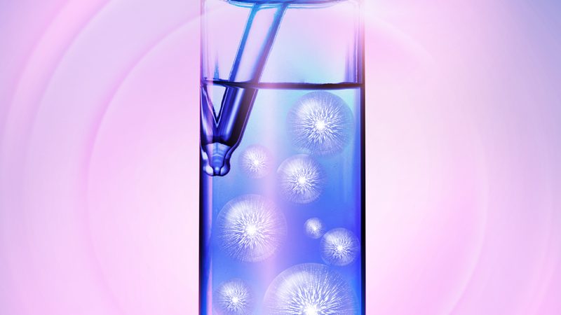 磷酸化抗体WB结果分析：关键步骤与解读技巧**