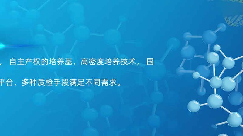 PCR试剂盒：揭秘其背后的技术奥秘与选购关键