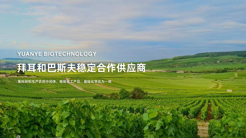 PCR管无酶无菌标准要求：揭秘实验室安全与效率的保障