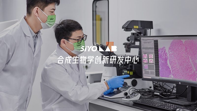 科研引物合成，如何选择靠谱的供应商？**
