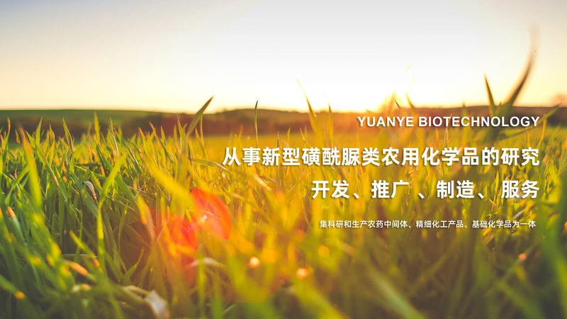 成都基因检测分类详解：了解不同类型，精准选择服务
