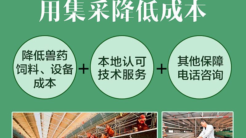 上海抗体药物原液定制：揭秘定制化生产背后的秘密