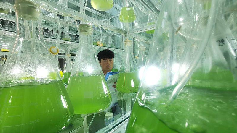 细胞工厂成本核算：关键因素与优化策略
